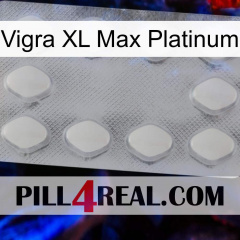 Vigra Xl Max Platinum 16